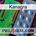 Kanagra new03